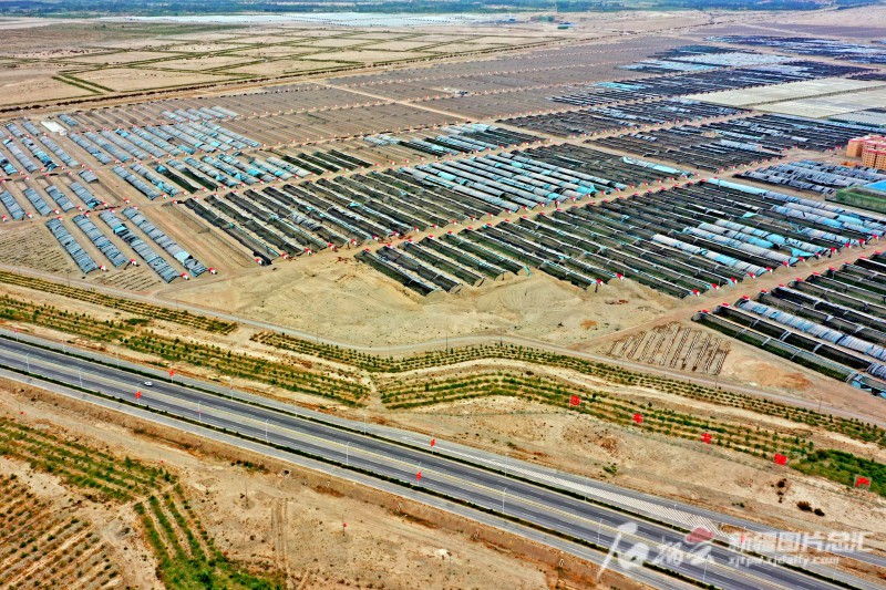 莎車縣戈壁產(chǎn)業(yè)園里，3000座溫室大棚成為荒灘上最具活力的地方。天山網(wǎng)-新疆日報記者 蔡增樂 攝
